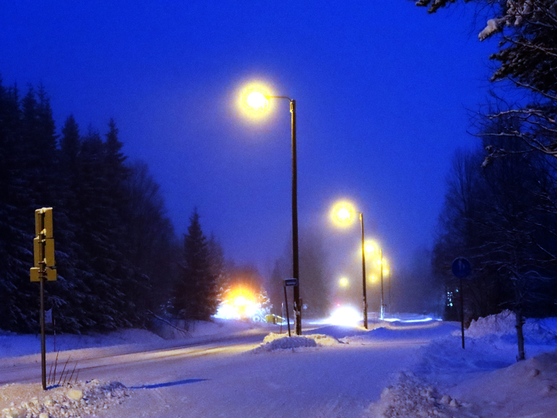 talvi20_21_041
