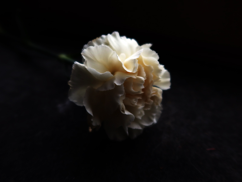 talvi20_21_560