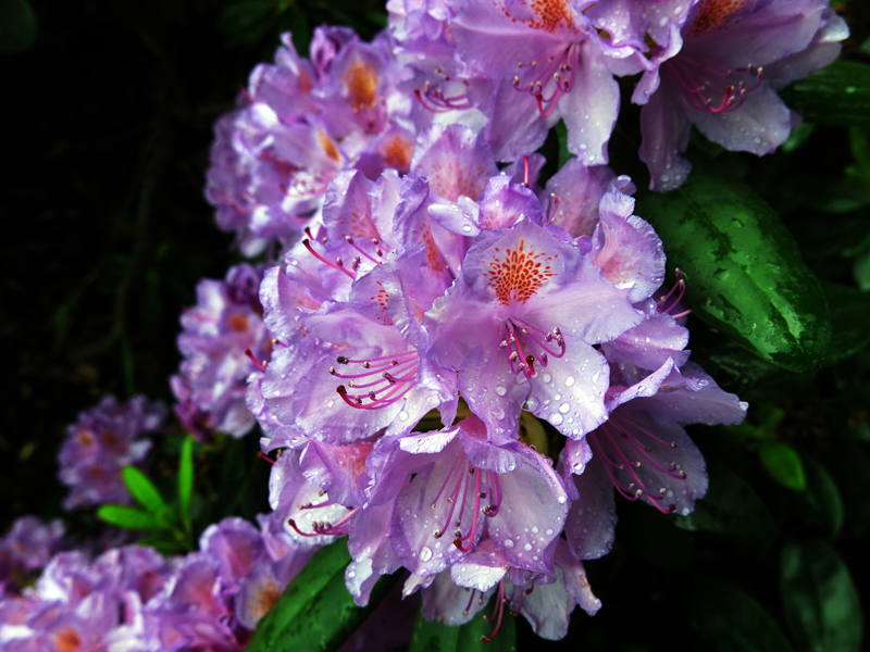 kesa2021_061