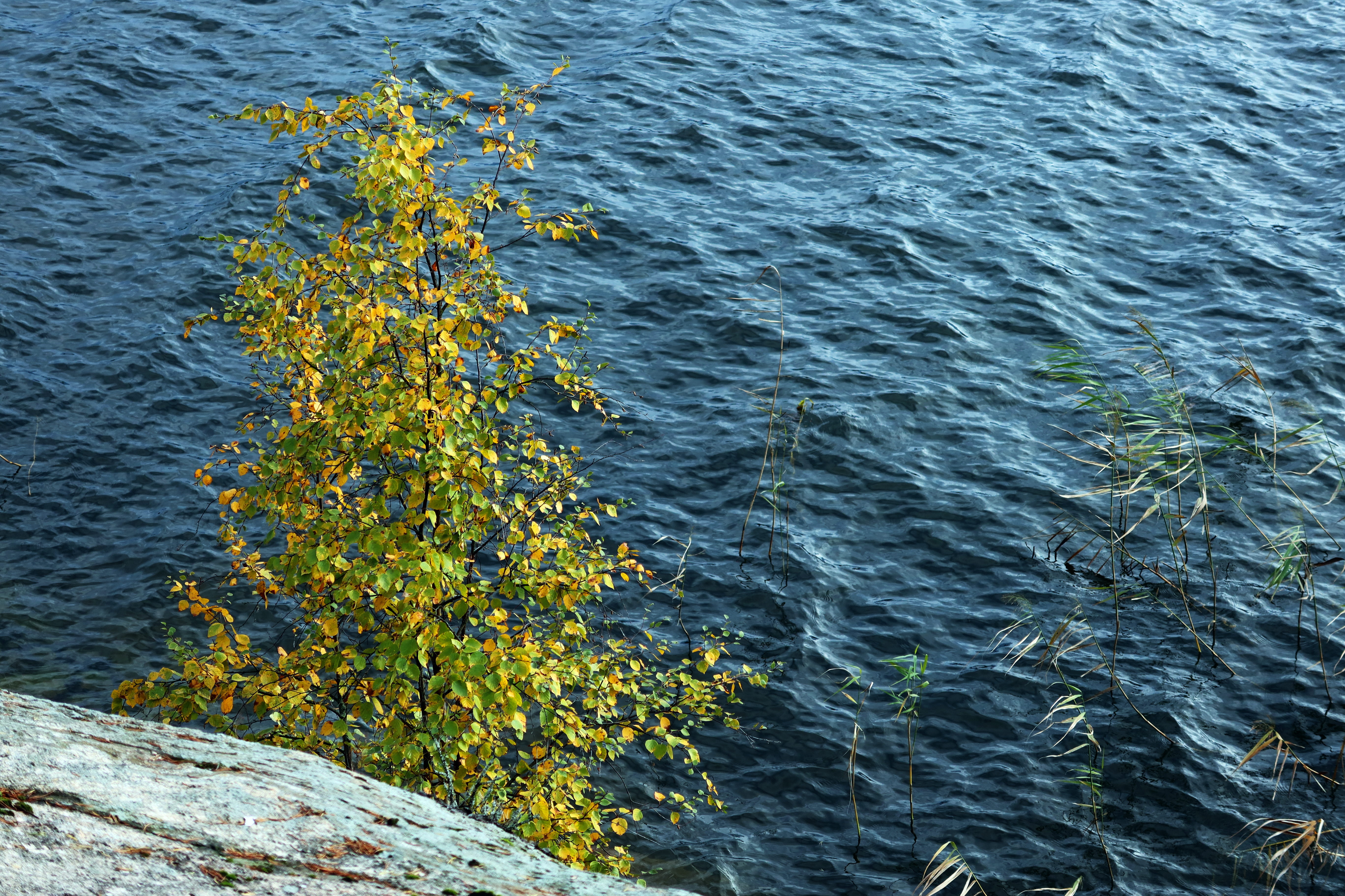 syksy21_084