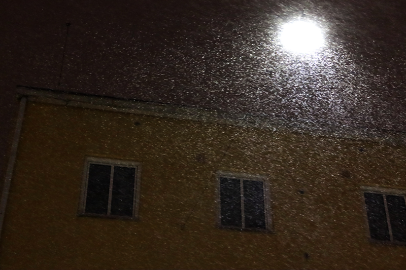 talvi21_22_493
