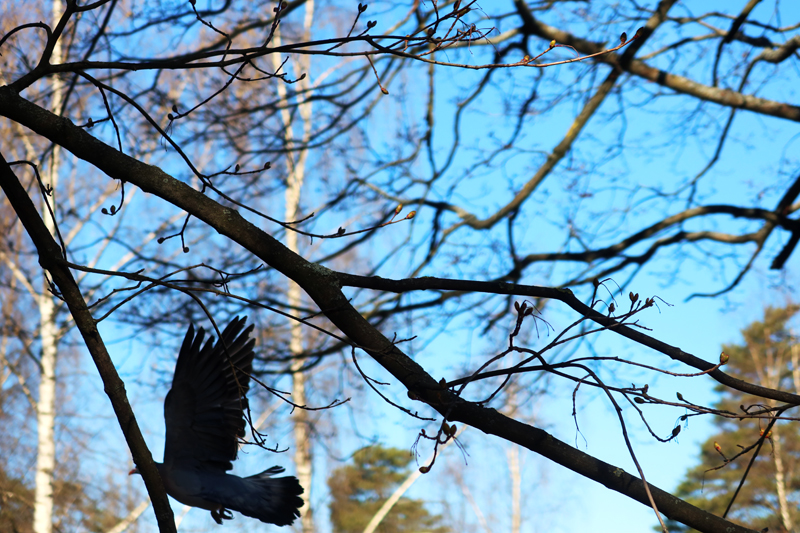 kesä_2022_038