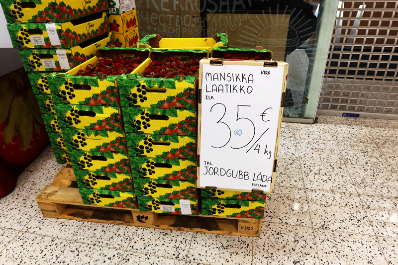 kesä_2022_598