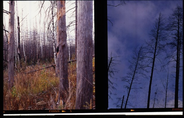 EPI_log0006_notanalog