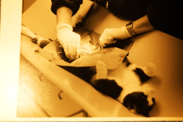 EPI_log0018_notanalog