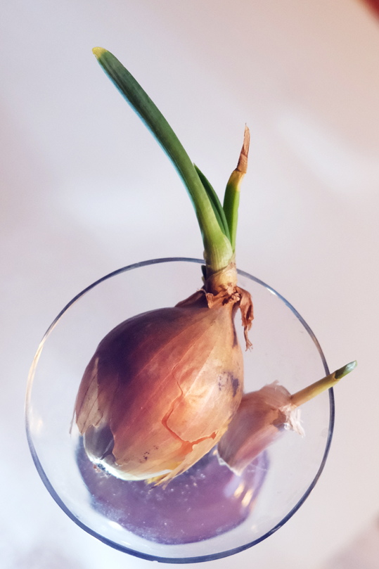 taidearttufartti_0010_online