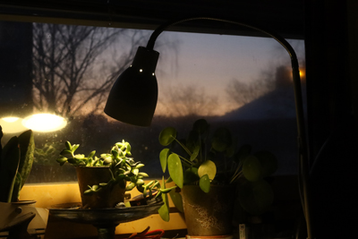 writtenmemos_033_online