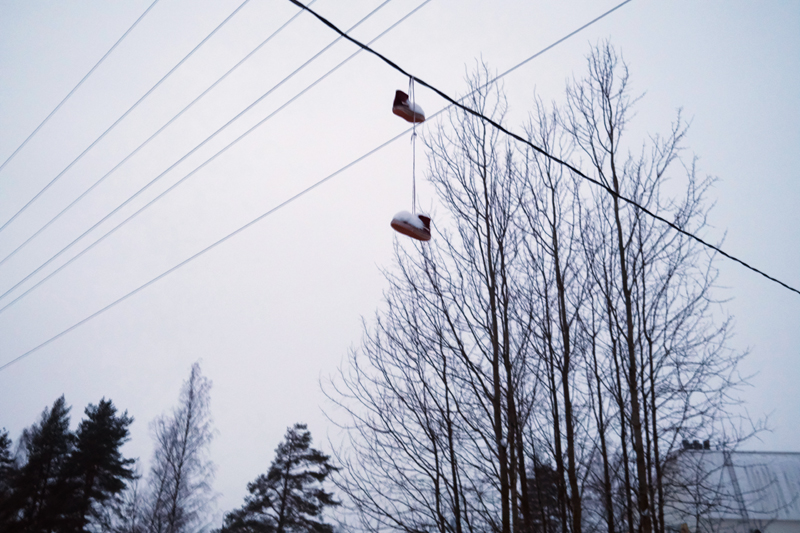 talvi23_24_028