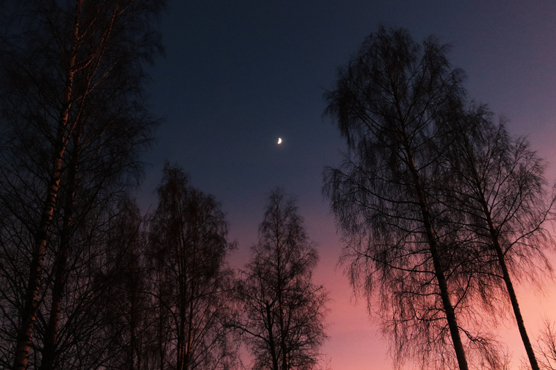 talvi23_24_162